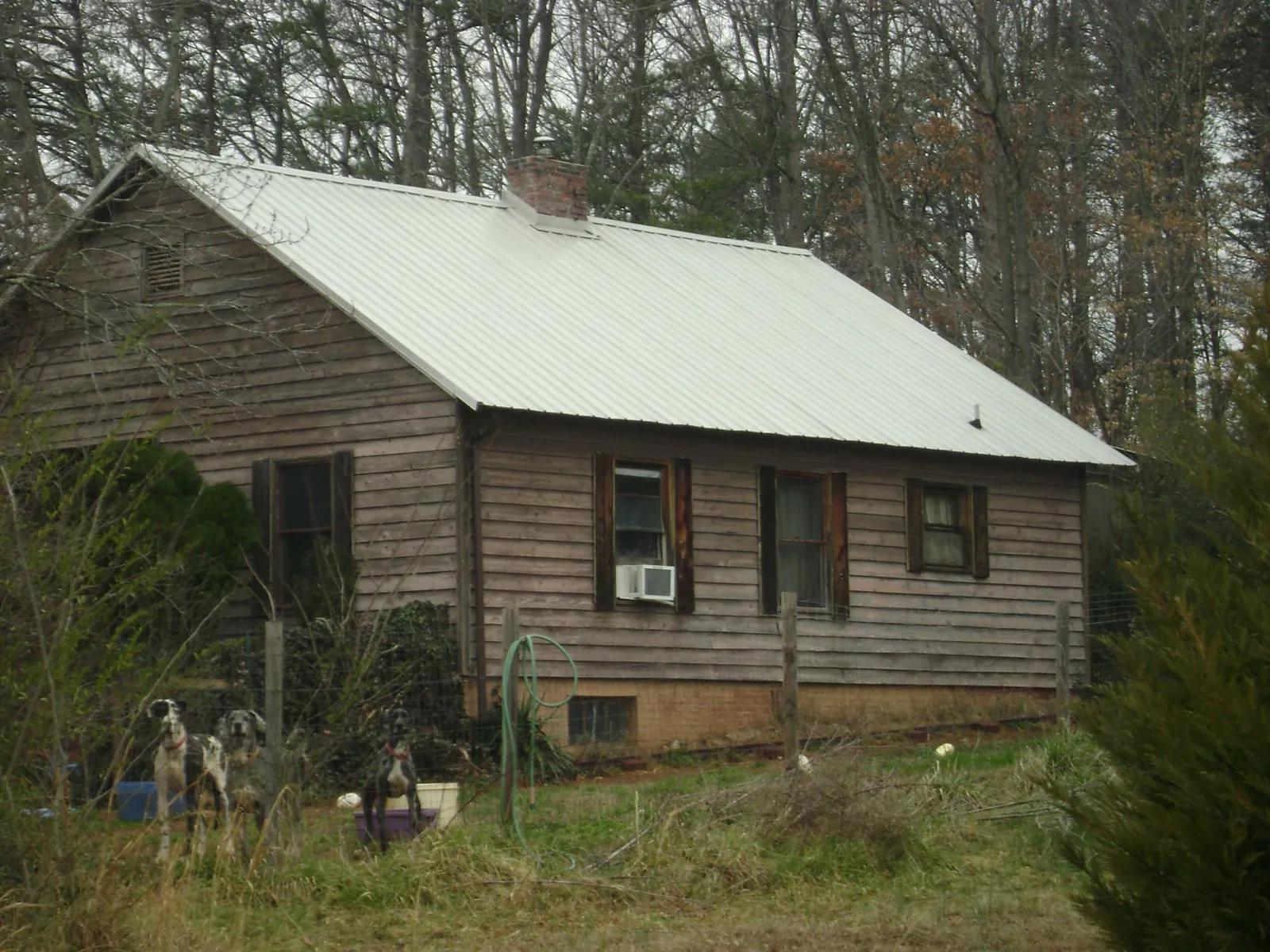 White metal roof on an old wood sided farmhouse, from a Asphalt Shingle Roof Repair job in Kerby